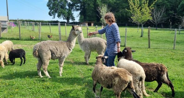 Initiation atelier laine aux lauriers de longvert