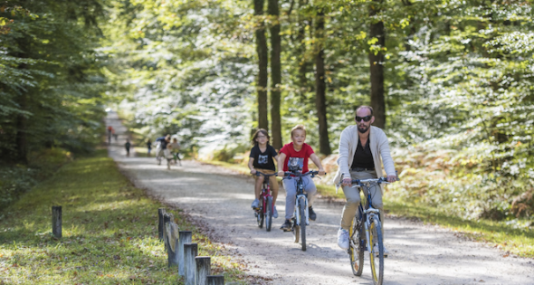 Une journée sous la canopée en Sud Touraine