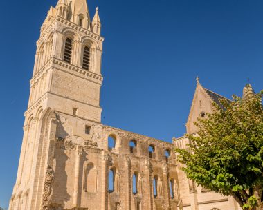 Boucle n°4 – L’Âne et le roi, de l’étang du Pas-aux-Ânes à la Cité royale