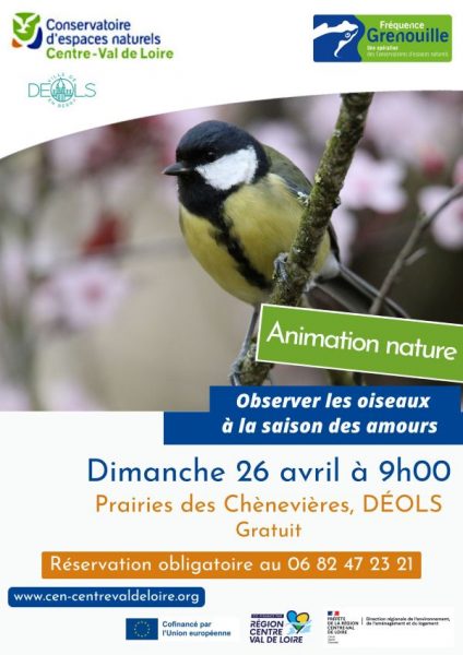 Balade nature sur les prairies des Chènevières « Observer les oiseaux à la saison des amours»