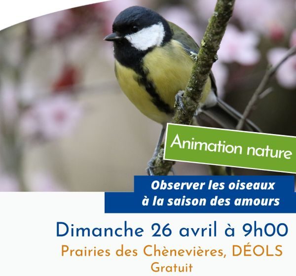 Balade nature sur les prairies des Chènevières « Observer les oiseaux à la saison des amours»