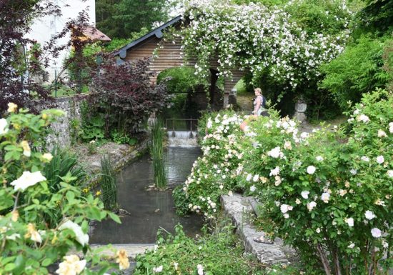 Chédigny village jardin « Jardin remarquable » et fleur d’or