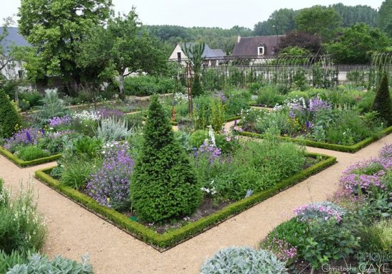Chédigny village jardin « Jardin remarquable » et fleur d’or