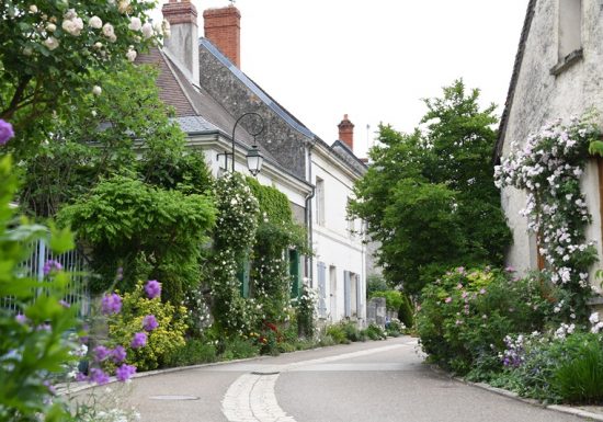 Chédigny village jardin « Jardin remarquable » et fleur d’or