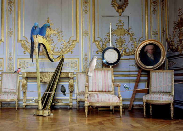 Karen Knorr habite le château