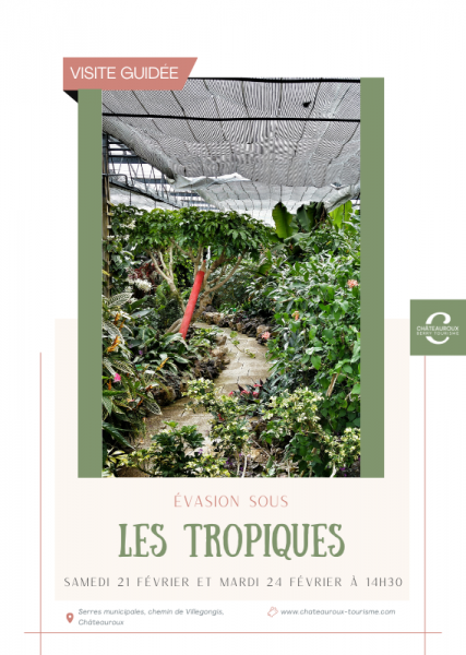 Évasion sous les tropiques