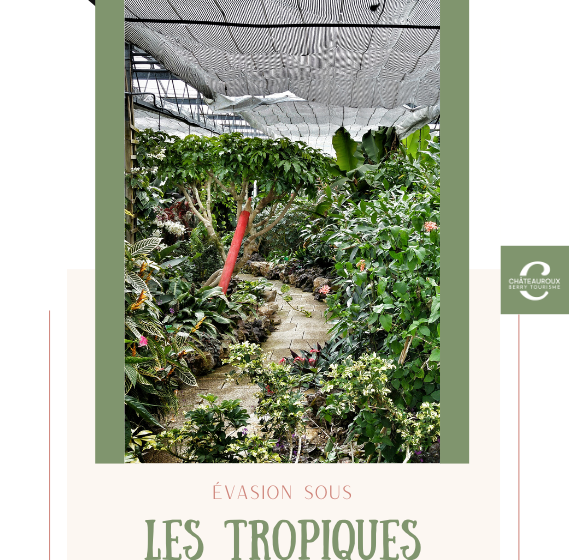 Évasion sous les tropiques