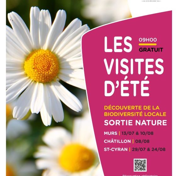 Promenades natures accompagnées à la découverte de la biodiversité locale