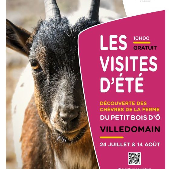 Découverte de la ferme caprine du Petit Bois d&rsquo;Ô