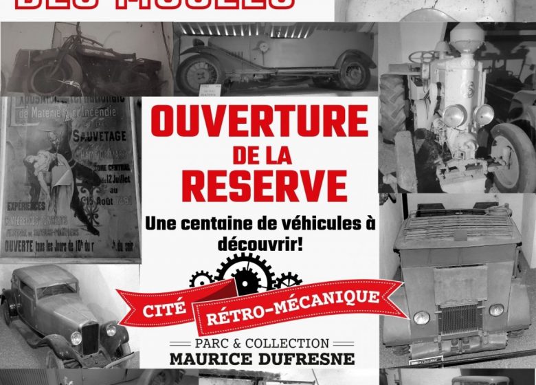 Nuit Européenne des Musées: Ouverture Exceptionnelle de la Réserve