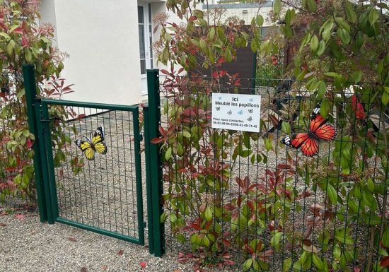 Meublés Les Papillons