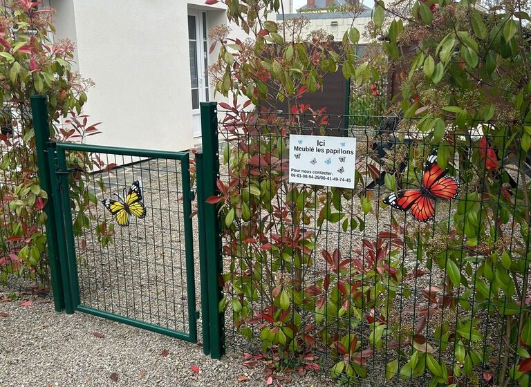 Meublés Les Papillons