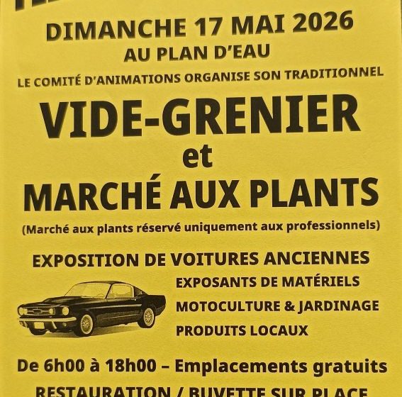 Vide-grenier et marché aux plants
