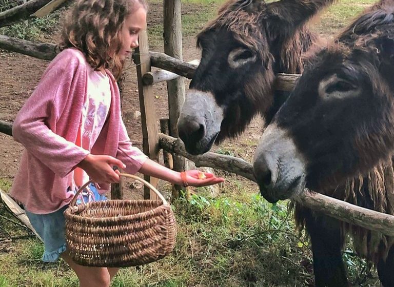 Parc animalier des Clautres