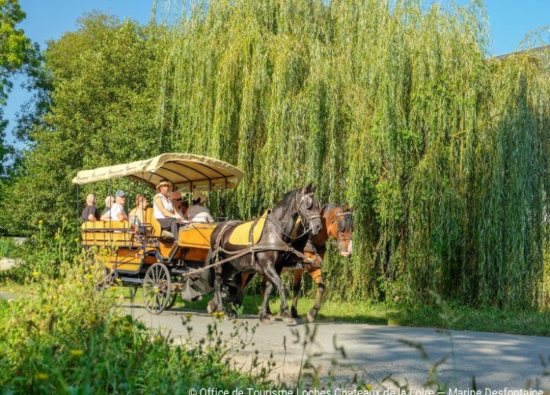 Visite en calèche – Loches et Beaulieu-lès-Loches