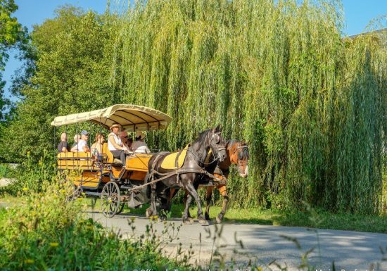 Promenade en calèche – Loches et Beaulieu-Les-Loches