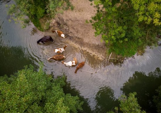 Promenade en canoë et paddle