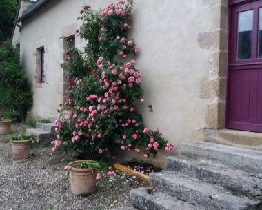Villebertaud