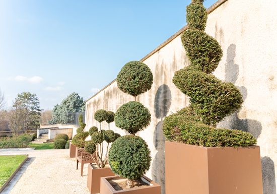Musée Bertrand et son jardin