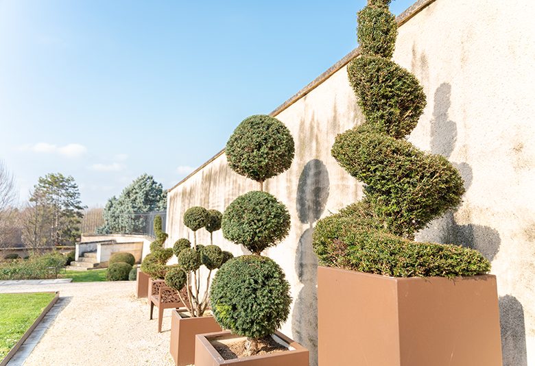 Musée Bertrand et son jardin