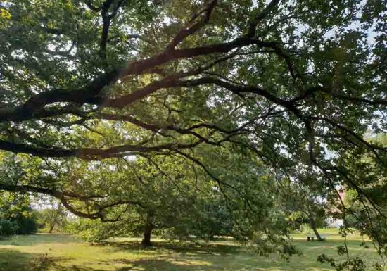 Chambres d&rsquo;hôtes « Le champ fleuri »