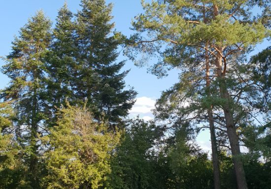 Chambres d&rsquo;hôtes « Le champ fleuri »