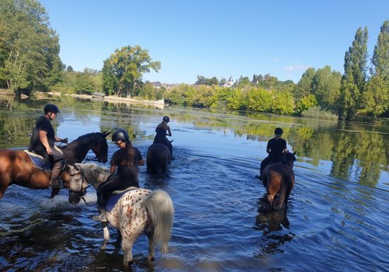 Ecuries la Clé des Champs