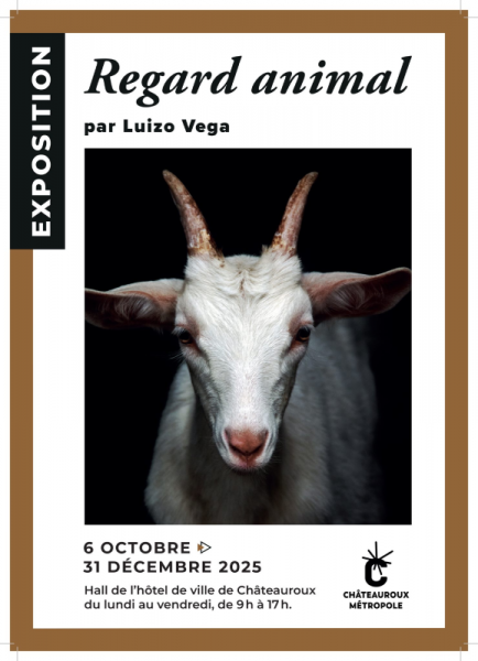 Exposition : « Regard animal » par Luizo Vega
