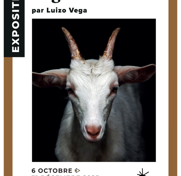 Exposition : « Regard animal » par Luizo Vega