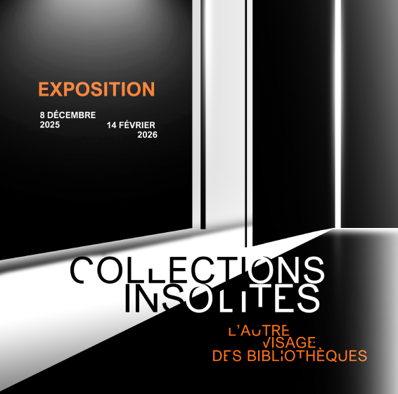 Collections insolites, l’autre visage des bibliothèques