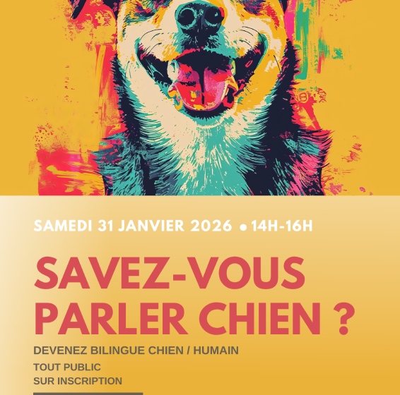 Savez-vous parler chien ?