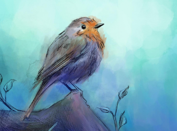 Écho – Concert conté