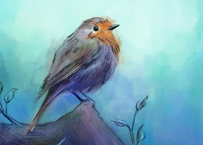 Écho – Concert conté