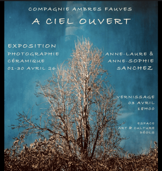 Exposition « A ciel ouvert »