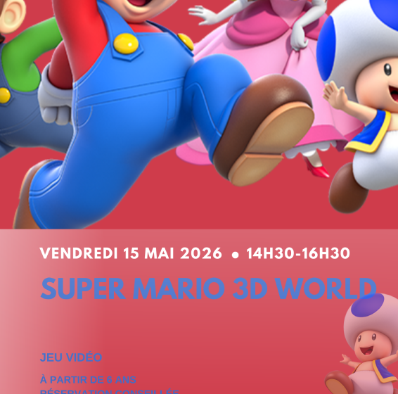 Jeu Vidéo : Super Mario 3D World