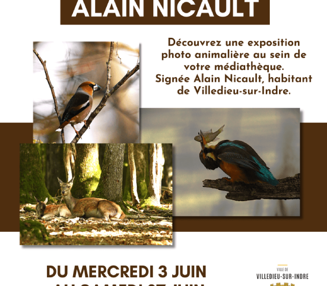 Exposition photo animalière