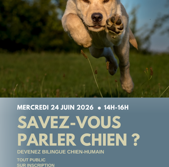 Savez-vous parler chien ?