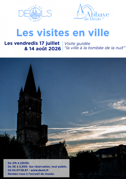 Visite guidée de la ville à la tombée de la nuit