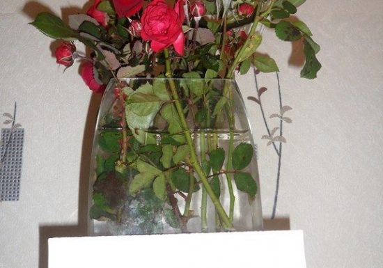 Meublé de Mme Romane