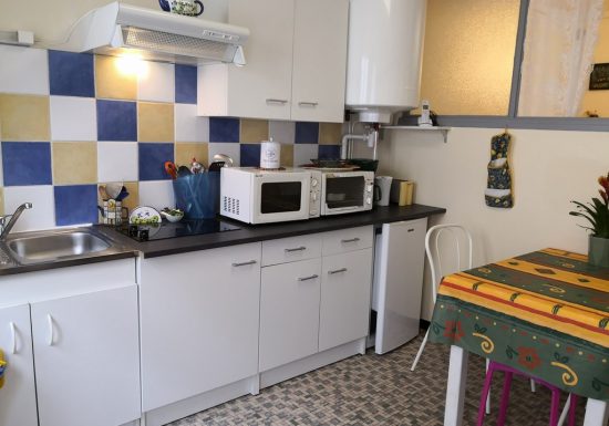 Meublé de M. & Mme Serre 1 mimosa