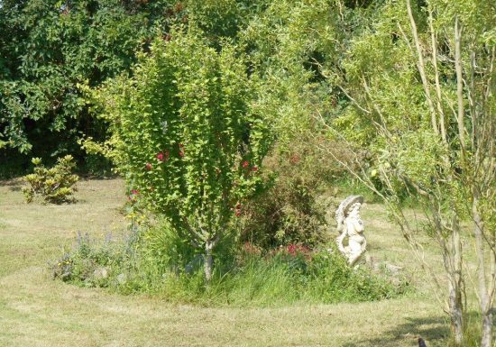 Meublé de Mme Régine PLAS