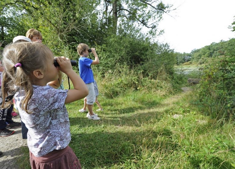 Détectives naturalistes en herbe