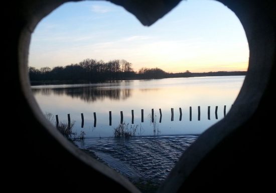 Réserve Naturelle Nationale de l’étang des Landes
