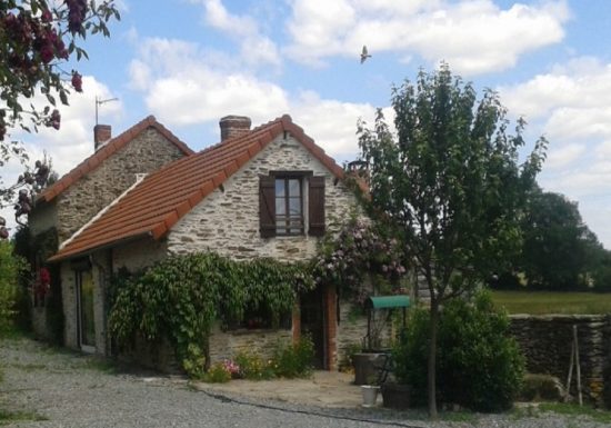 Arboretum de plantes à Vannerie