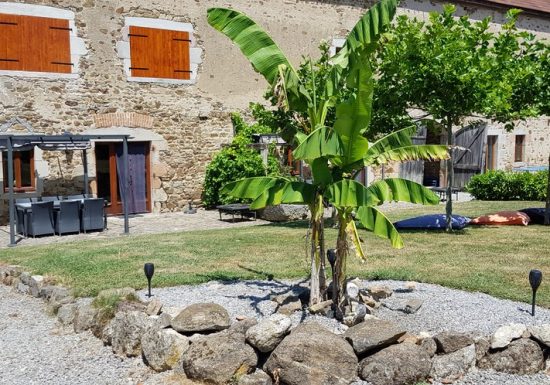 Gîte l’hirondelle