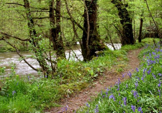 Les Gorges de la Voueize