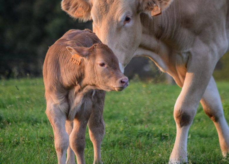 La ferme de Valérie