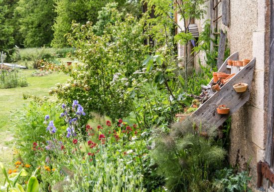 Mini camping le petit patural