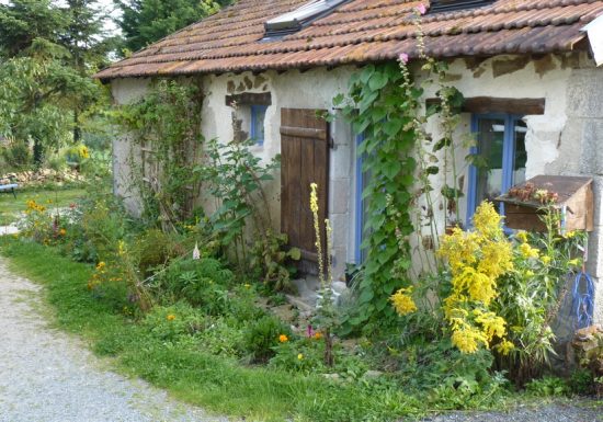 Mini camping le petit patural