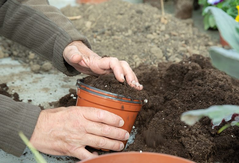 Je créé mon jardin condimentaire